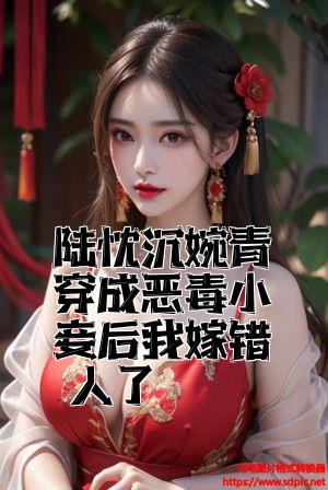 陆忱沈婉青穿成恶毒小妾后我嫁错人了