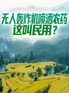 无人轰炸机喷洒农药，这叫民用？