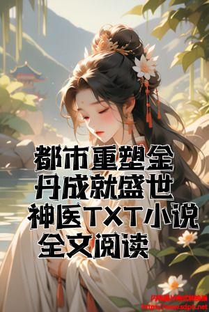 都市重塑金丹成就盛世神医TXT小说全文阅读