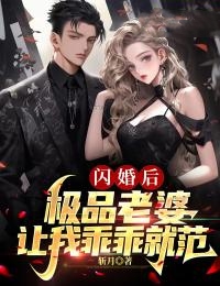 闪婚后，极品老婆让我乖乖就范